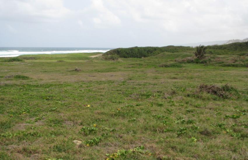 Walkers, St. Andrew Barbados H.V.REALTY SERVICE